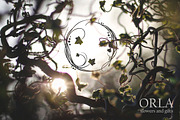 Magic Ivy. Botanical Font., a Serif Font by AnMark (Thumbnail 2 of 15)