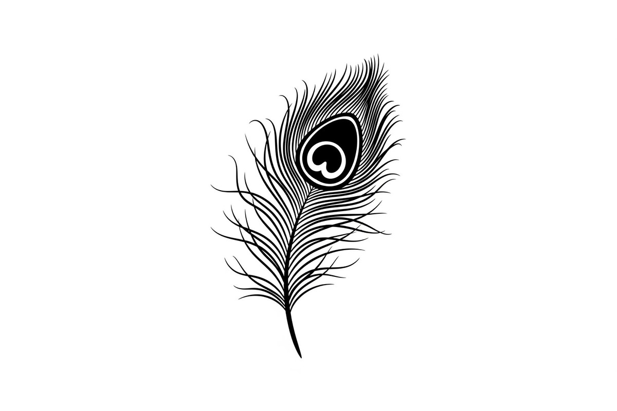 Peacock Feather Silhouette Bundle, an Illustration by jahid234 (Photo 22 of 31)