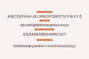 Lauris Manies Amaline - Duo Font, a Script Font by Essentials Studio (Thumbnail 8 of 9)