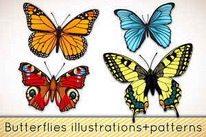 Butterflies Patterns Illustrations