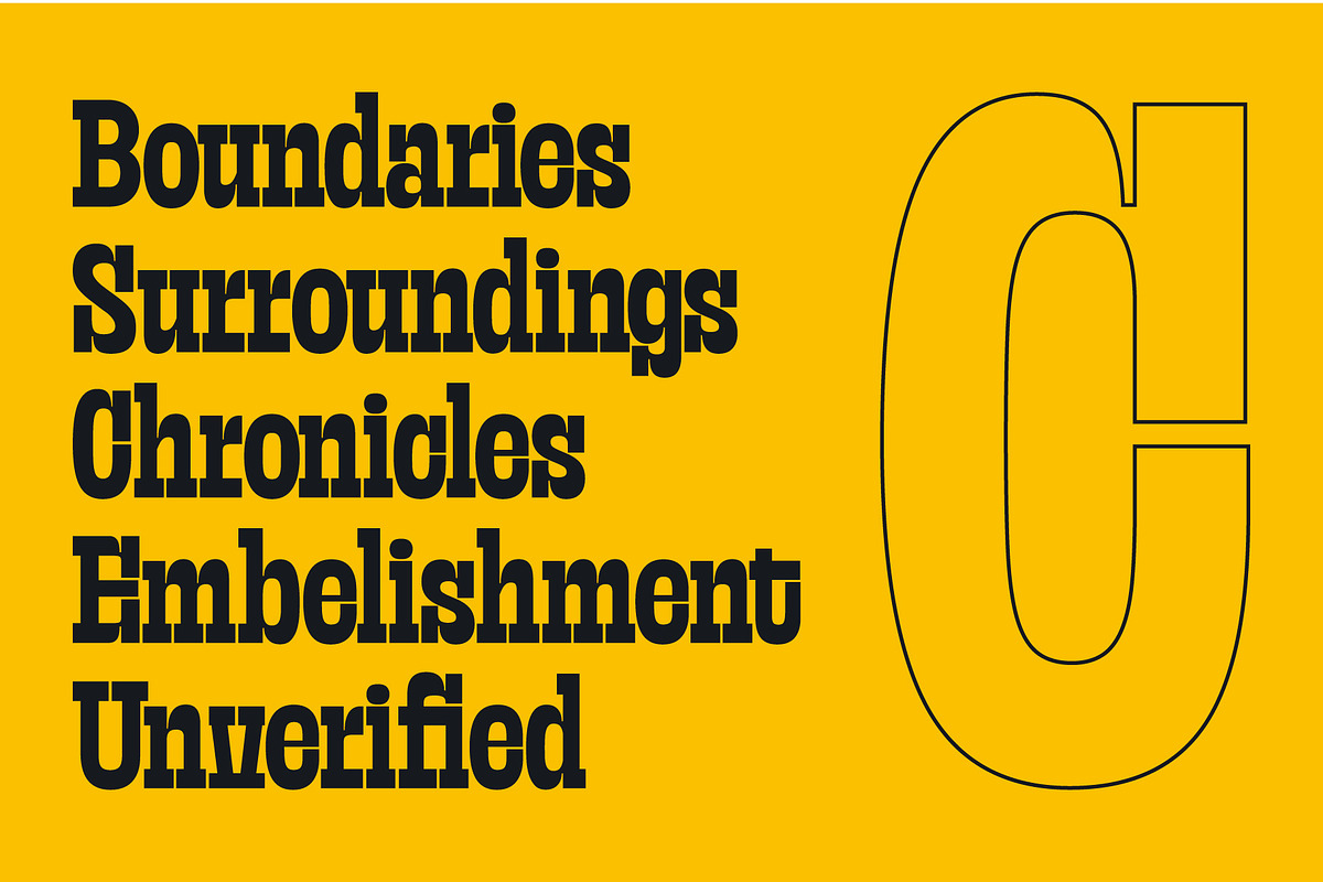 Frust Stonig - Inktrap Slab Serif, a Slab Serif Font by Variatype (Photo 4 of 12)