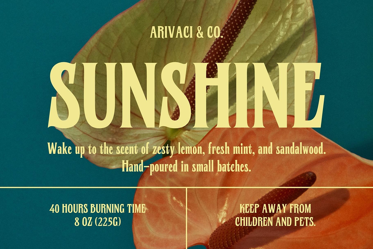 Birchside - A Condensed Serif, a Serif Font by Xelo Graph (Photo 2 of 8)