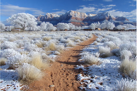 Angels Landing Hiking Trail is, a Nature Photo by ZinetroN