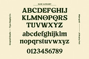 Rhinegold - Display Font, a Sans Serif Font by Graptail (Thumbnail 13 of 13)