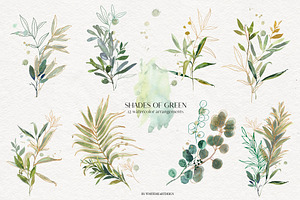 Shades Of Green Watercolor Clipart