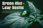 Beetle Gnatic | Cute Playful Font, a Handwritten Font by Denustudios (Thumbnail 9 of 12)
