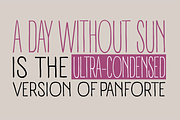 Panforte Pro - 7 fonts, a Sans Serif Font by Zetafonts (Thumbnail 5 of 8)