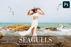 Seagulls Overlays Photoshop