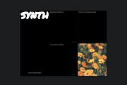 Synth Journal - Framer template, a Websites & App Template by antrdnv (Thumbnail 2 of 5)