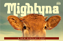 Migthyna - Retro Display Font