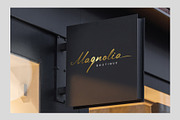 Lingerhend | Classic Script, a Script Font by Lemonthe (Thumbnail 3 of 7)