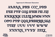 Milky Vintage, a Serif Font by Sign Studio (Thumbnail 2 of 15)