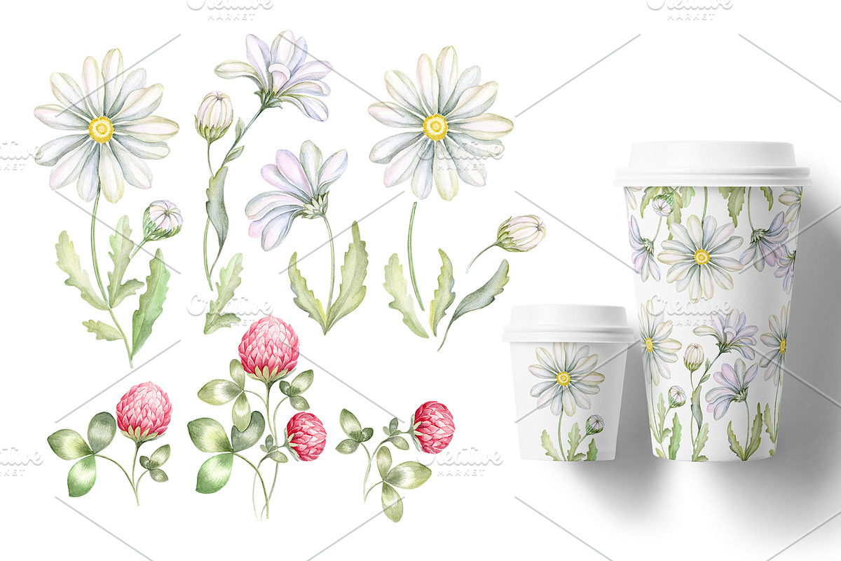 Wild flowers bundle, set Wildflowers, a Texture Illustration by MarinadeArt (Photo 5 of 8)