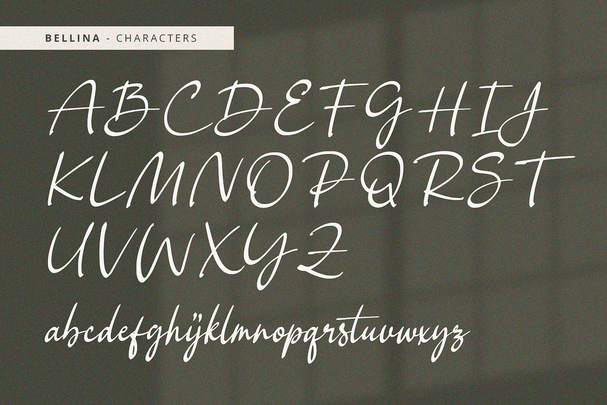 Bellina - Handwritten Font, a Handwritten Font by Alpaprana (Photo 8 of 10)