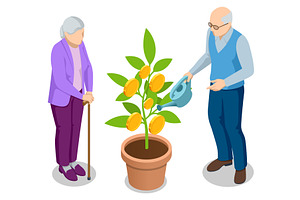 Isometric Retirement savings concept, a Finance Illustration by Golden Sikorka