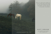Crease - Paper Textures & Overlays, a Texture Graphic by alonahaidash (Thumbnail 14 of 15)