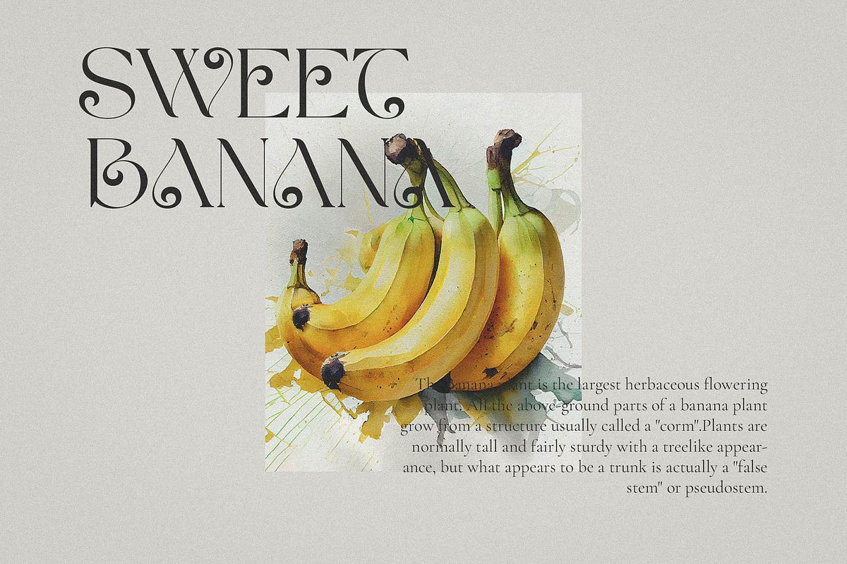 Milven || Modern Classic Serif, a Serif Font by BrandSemut (Photo 4 of 13)