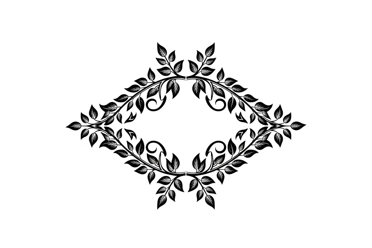 Vintage Baroque Ornament Frames, an Illustration by Designs_River (Photo 3 of 31)