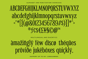 MTC Quinnie - Condensed Serif!