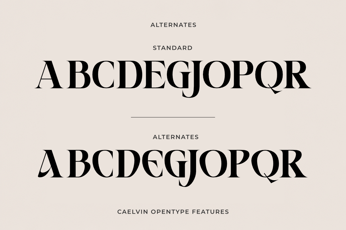 Caelvin – Modern Editorial Serif, a Serif Font by Muksal Creative (Photo 6 of 10)