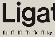 GG Vert – Variable, a Sans Serif Font by GG Design (Thumbnail 5 of 9)