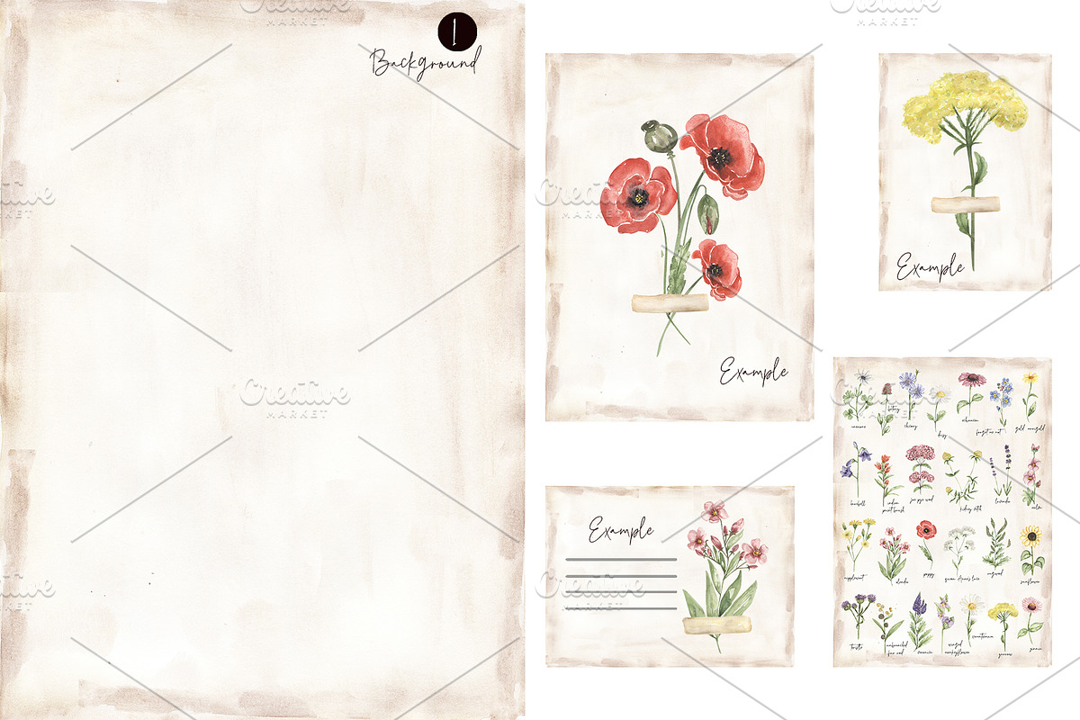 Watercolor Field Flowers Collection, a Decorative Illustration by MayaNavits (Photo 9 of 16)