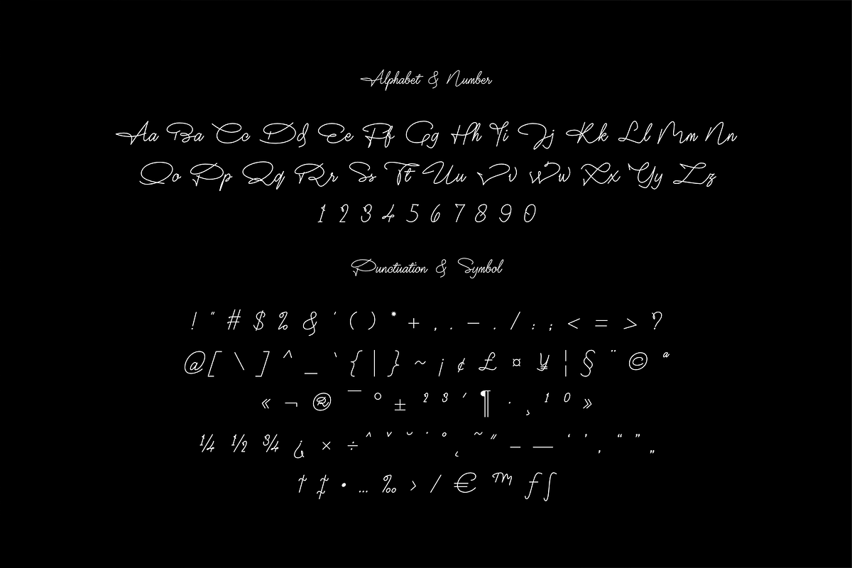 Mr Dj Signature Monoline Font, a Script Font by Attractype (Photo 5 of 8)