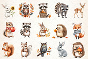 Autumn Forest Animal Clipart, an Illustration by Rose Art (Thumbnail 2 of 4)