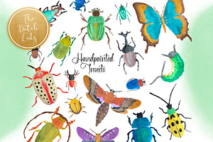 Handpainted Insect Clipart Set