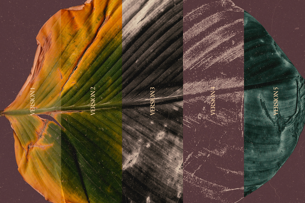Broken Leaves 200 Transparent Object, an Object Graphic by nicholasasmita (Photo 3 of 15)