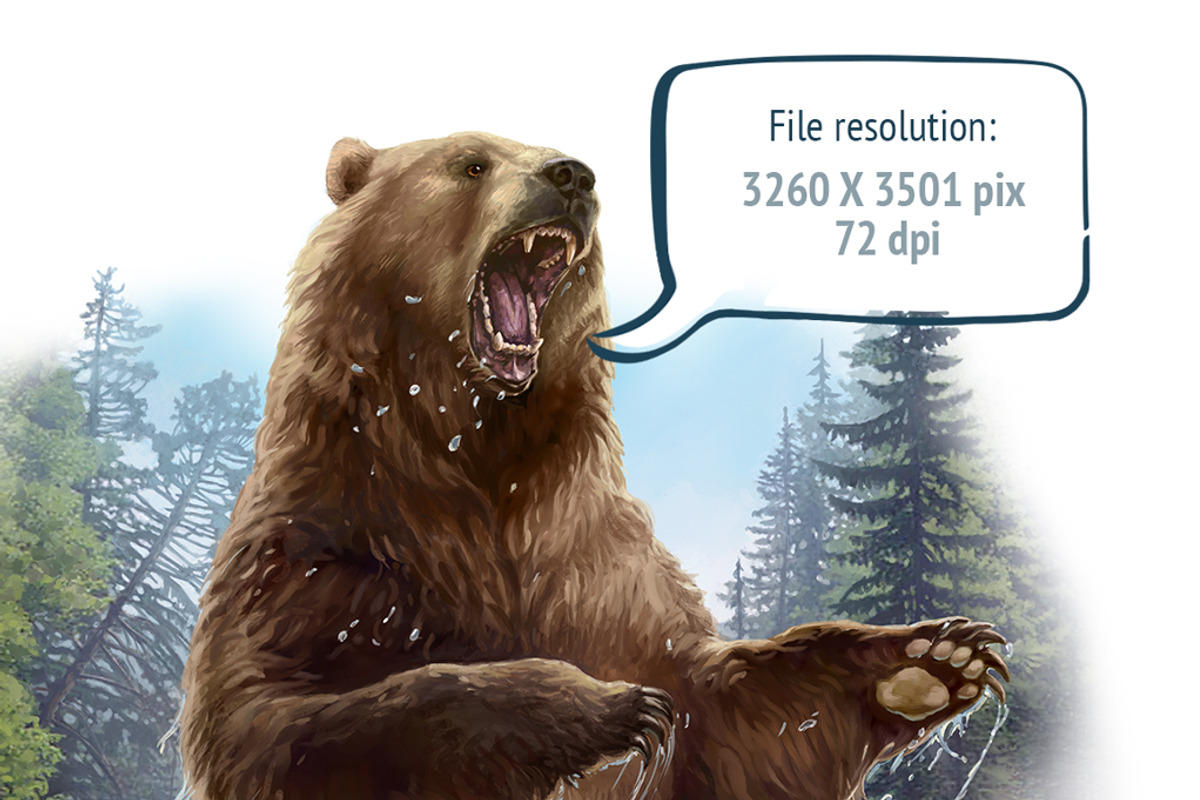 Aggressive bear, an Animal Illustration by Countryside life (Photo 3 of 5)