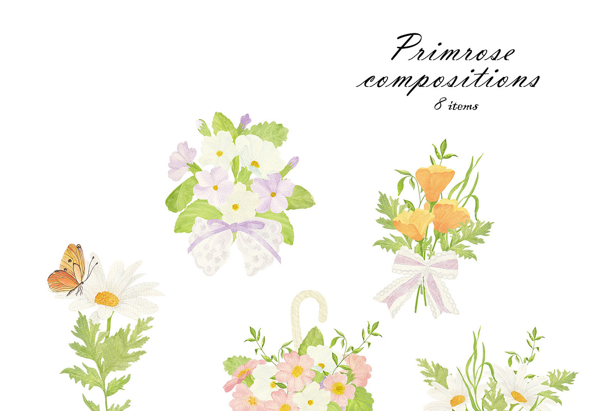 Primrose Watercolor Collection, a Decorative Illustration by Sunshine Art (Photo 4 of 8)