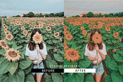 Wonderland Preset, an Action Add-On by STUDIO REFINERY (Thumbnail 6 of 7)