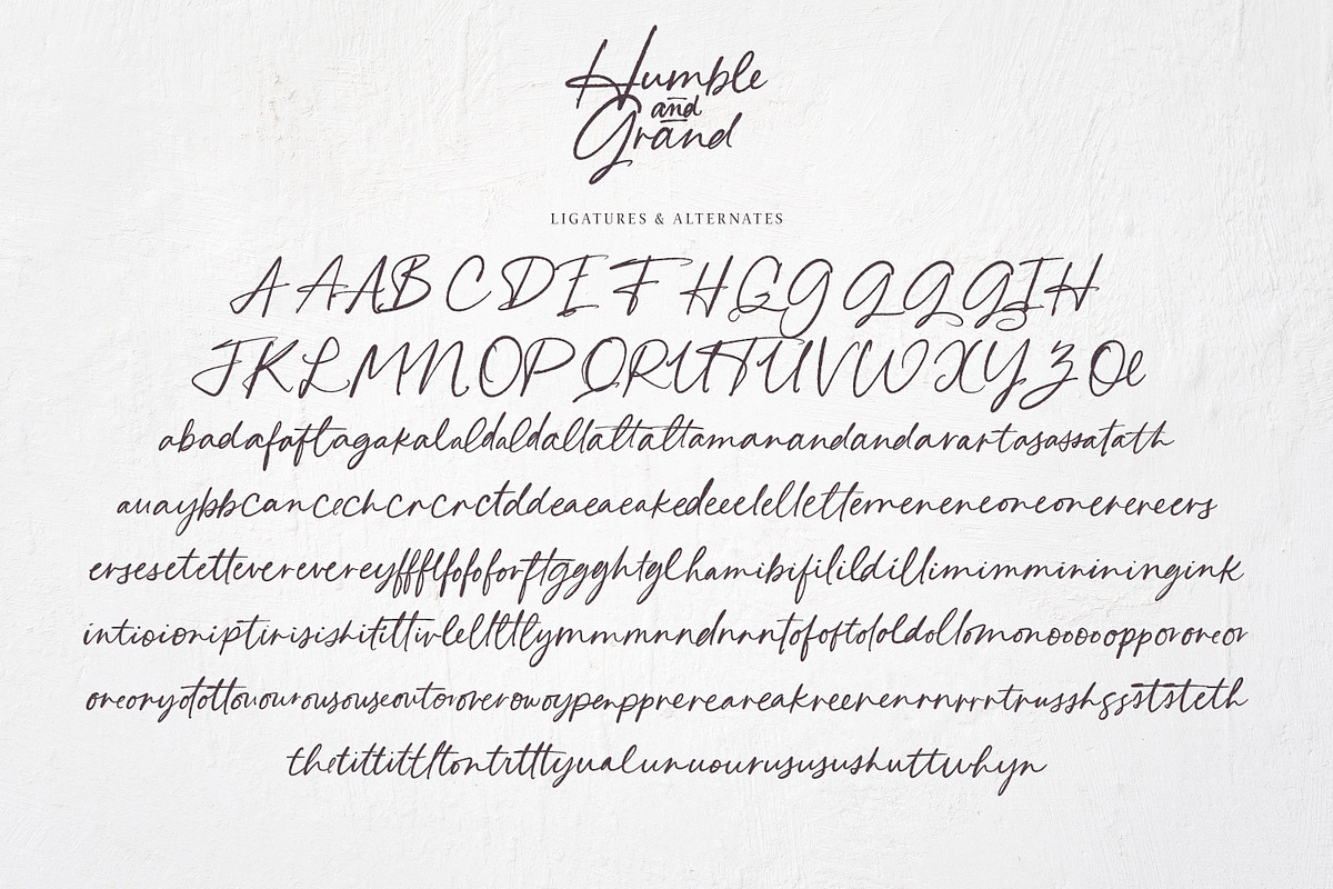 Humble & Grand Handwritten Script, a Script Font by Callie Rian & Co. (Photo 15 of 17)