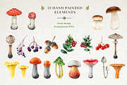 Forest Mushrooms Watercolor Clipart, a Decorative Illustration by AnitaPol (Thumbnail 5 of 21)