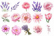 Lavender & Pink Flowers Watercolor, an Illustration by Watercolor design (Thumbnail 2 of 13)
