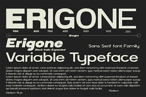 Erigone - Sans Serif Font Family