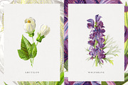 Vintage Flower Illustrations, an Illustration by Greta Ivy (Thumbnail 6 of 8)