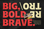 Brick Records - Retro Serif, a Serif Font by Dora Typefoundry (Thumbnail 8 of 14)