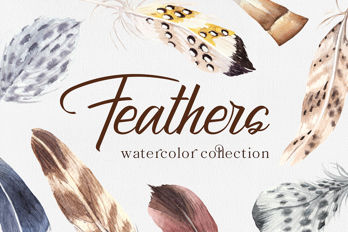 Feathers Watercolor Collection, a Texture Illustration by SOVA (Photo 1 of 7)
