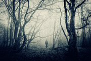 Halloween Forest pack 2018 Hi Res, a Nature Photo by Atmospheric visuals (Thumbnail 4 of 11)