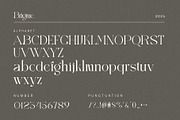 Brigme Elegant Serif Font Typeface, a Serif Font by Perfectype (Thumbnail 6 of 6)