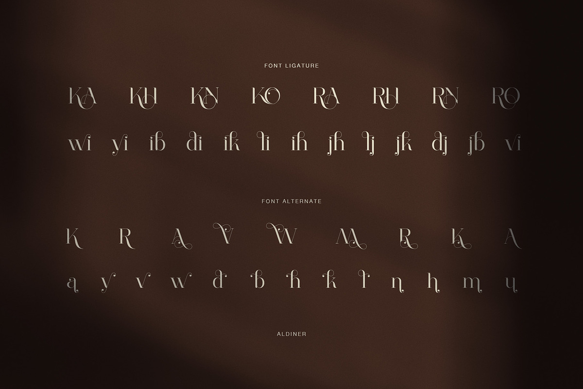 Aldiner Elegant Serif Font, a Serif Font by Perfectype (Photo 8 of 8)