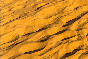 Texture of sand in the Sahara Desert. Merzouga, Morocco, a Nature Photo by Leonid Andronov