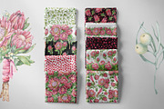 Watercolor protea flower set, an Illustration by Artmanata (Thumbnail 10 of 18)