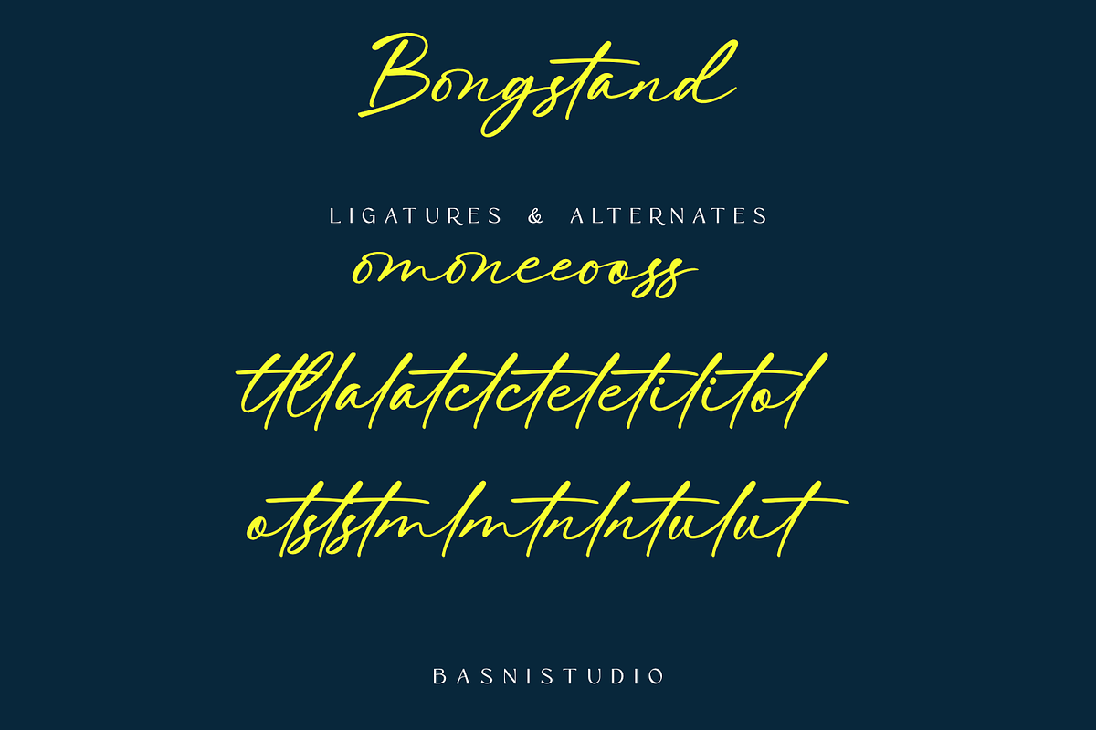 Bongstand – Elegant Handwritten Font, a Script Font by Basnistudio (Photo 9 of 10)