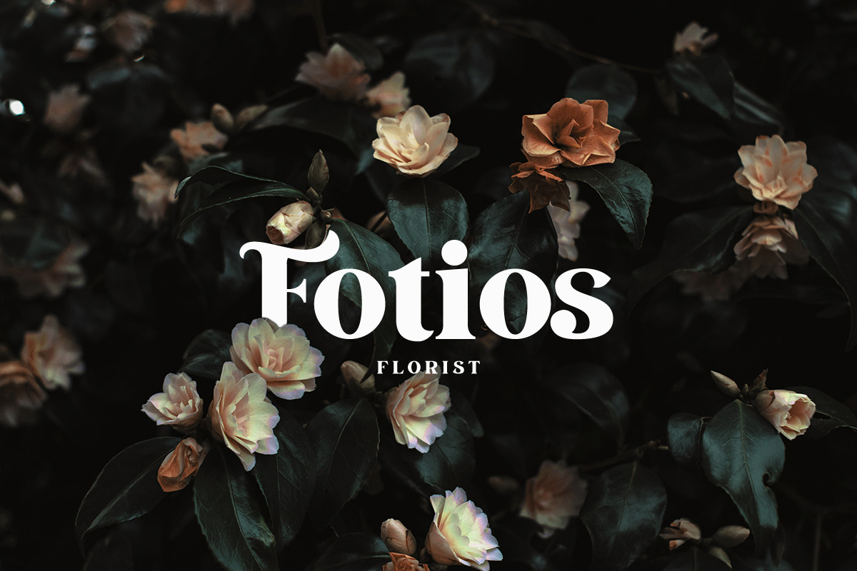 March - Elegant Serif Font, a Serif Font by din-studio.com (Photo 13 of 21)