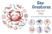 Watercolor Sea Creatures, an Animal Illustration by LenArt (Thumbnail 1 of 4)