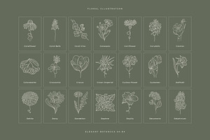 Elegant Botanica Logo Kit