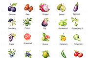 Watercolor Fruits Clipart, Pear PNG, a Food Illustration by BrushstrokeArtGB (Thumbnail 4 of 9)
